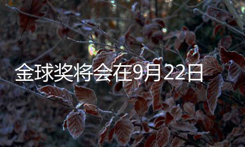球员风度与公平竞赛精神
