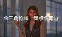 金三角枪族
：盘点缅甸边境的自制武器