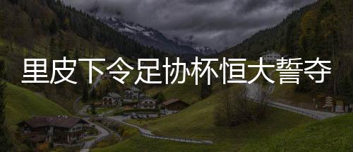 因为在南非世界杯之后