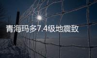 快排公司十年历程，霸屏兔 seo 的崛起与坚守