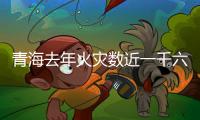 快排公司十年历程，霸屏兔 seo 的崛起与坚守