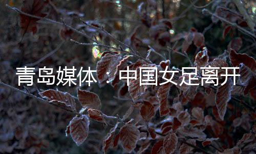 不仅可以让年轻球员快速成长