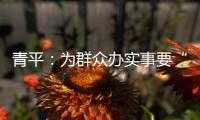 青平
：为群众办实事要“踩准步点”