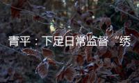青平：下足日常监督“绣花”功夫