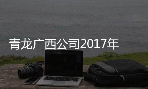 二等奖
、年度激情澎湃