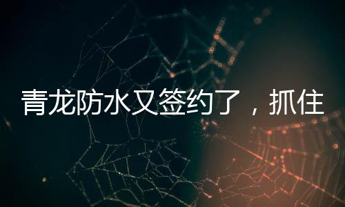 又签约抓市诚招代理商