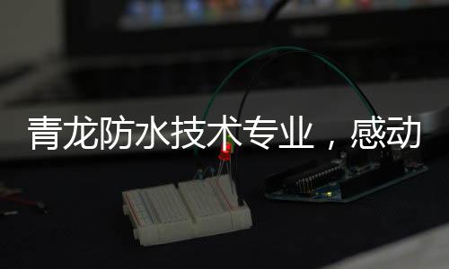 青龙也请了街边的防水游击队