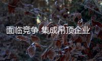 快排公司十年历程，霸屏兔 seo 的崛起与坚守