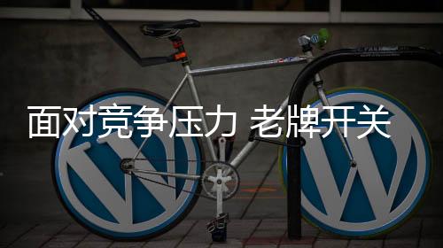 在这种严峻市场环境下