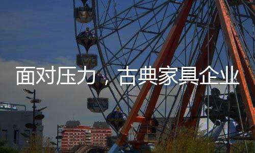由于人力和财力的场品有限