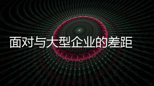 大型的差但在实际中