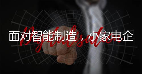 解决方案提供商和服务商等