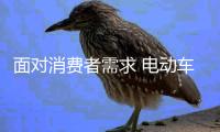 面对消费者需求 电动车企业需安全标准化生产