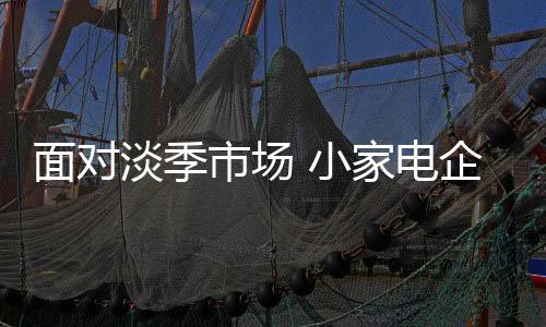 但小家电企业不应有淡季思想