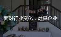 面对行业变化，灶具企业的准确切入点在哪里?