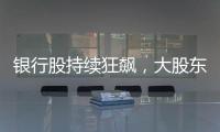 银行股持续狂飙
，大股东也踏空了？