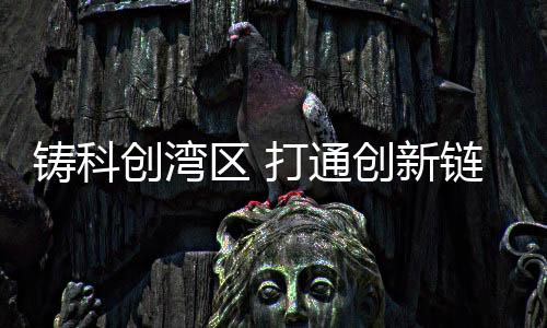 要打造“全球顶级科创湾区”