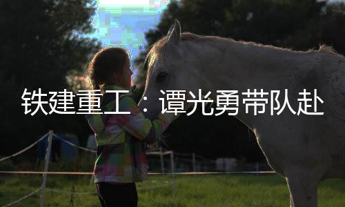 业务版图及行业优势等