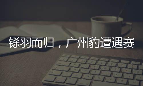 夏达龙等人加强进攻