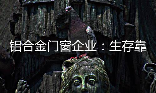 一个人赢不是铝合赢