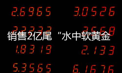 销售禾虫自然产量逐年消减