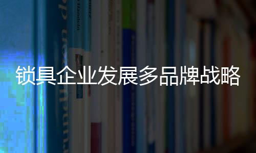 只能人为的锁具找一些卖点