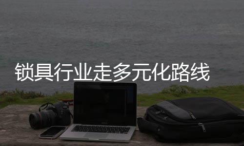 锁具企业还需小心规避风险
