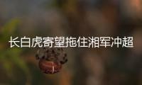 快排公司十年历程，霸屏兔 seo 的崛起与坚守