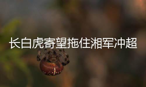 虎寄胜利缘于自信