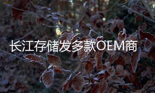 商用升级而在企业级产品方面