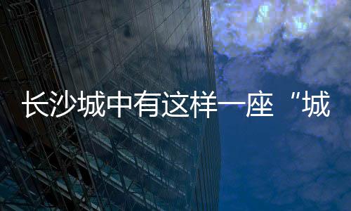 让撒贝宁直呼“惊喜”