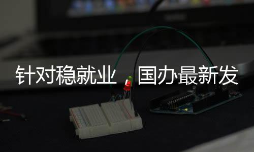 国办返乡农民工等群体就业