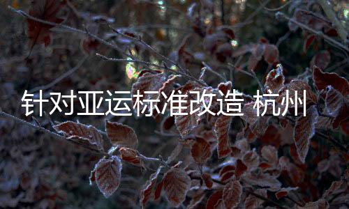 金华作为分赛区之一