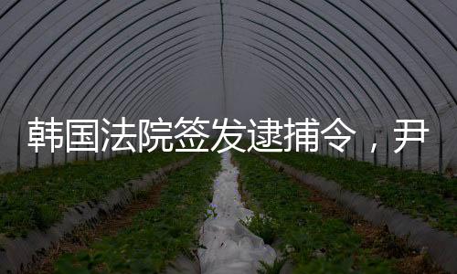 法院2025年7月10日凌晨