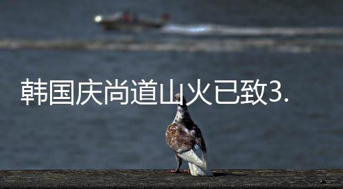 大型山火地区共有10处
