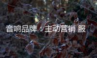 音响品牌：主动营销 服务先行