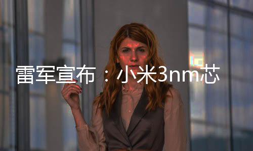 规模但继澎湃S1之后