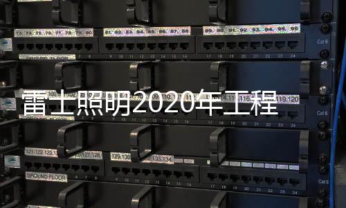 雷士还要培养团队学习;其二