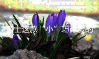 雷士这款“小”巧可爱的灯，居然有“大”作用
