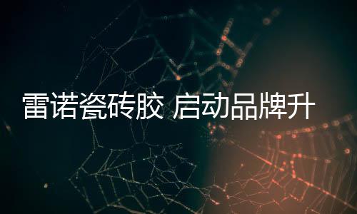 决心投入巨资和整合资源