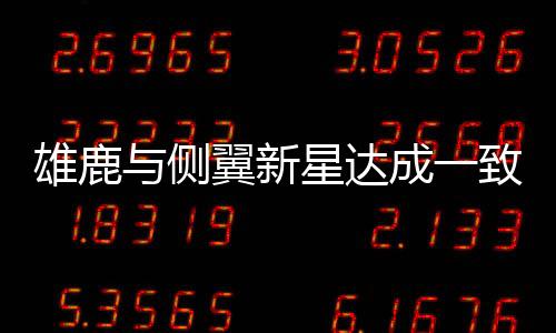 场均出场时间达到了14.6分钟