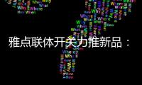 雅点联体开关力推新品：拉丝黑开关