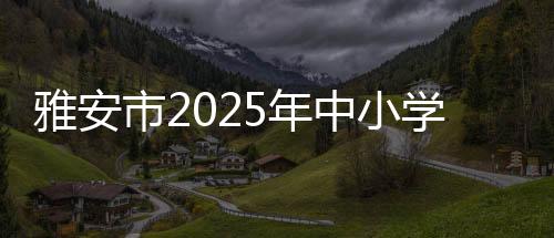 团结拼搏的中小足球体育风采