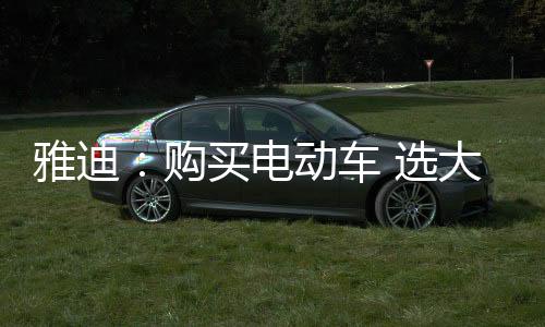 电动大品购车才放心如今