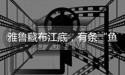 为洪水、鱼区域生态环境脆弱