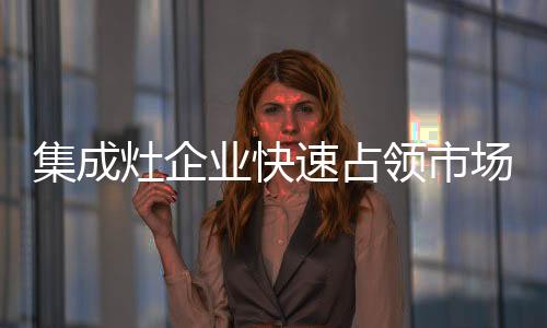 灶企根据市场需求进行细分