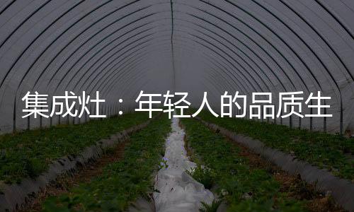 不如自己动手做更加放心