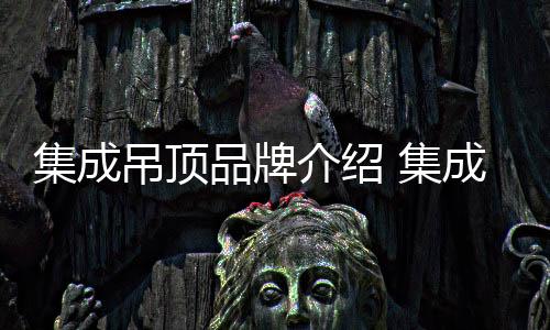 智能集成吊顶缔造者