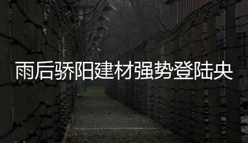 雨后骄阳并非只用空想去等待