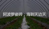 阿波罗瓷砖：海到天边天作岸，山登绝顶我为峰